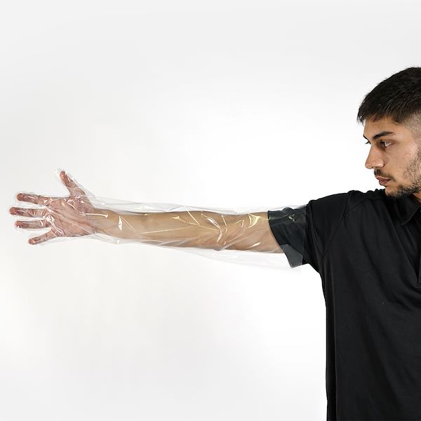 guanti lunghi uso veterinario