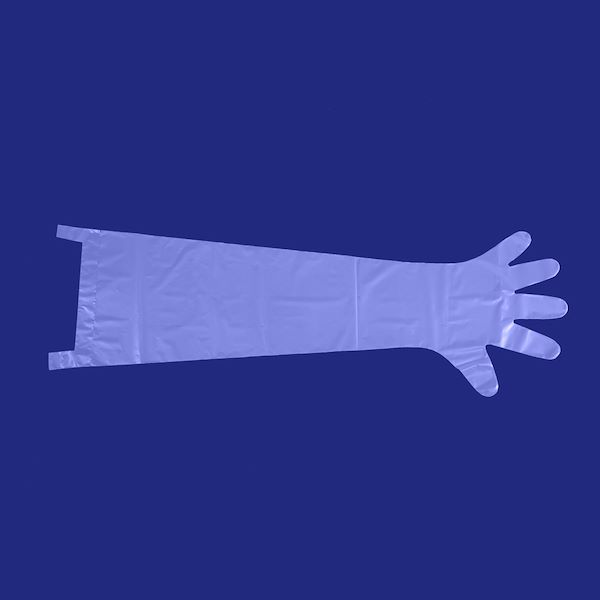 Long 5 fingered gloves for veterinary use - small size